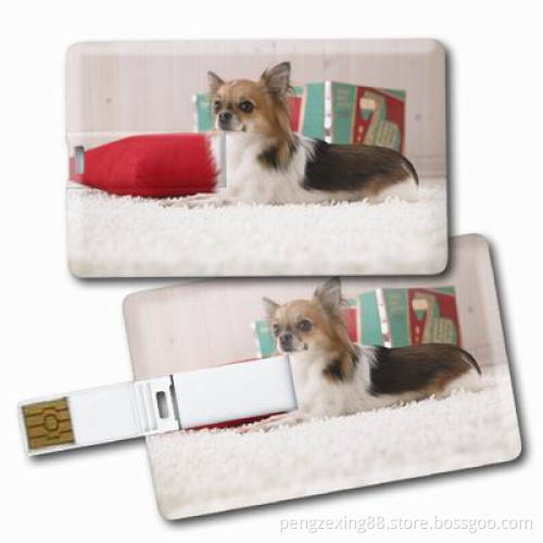 2GB-4GB Blue Card USB Flash Drive (PZC211)